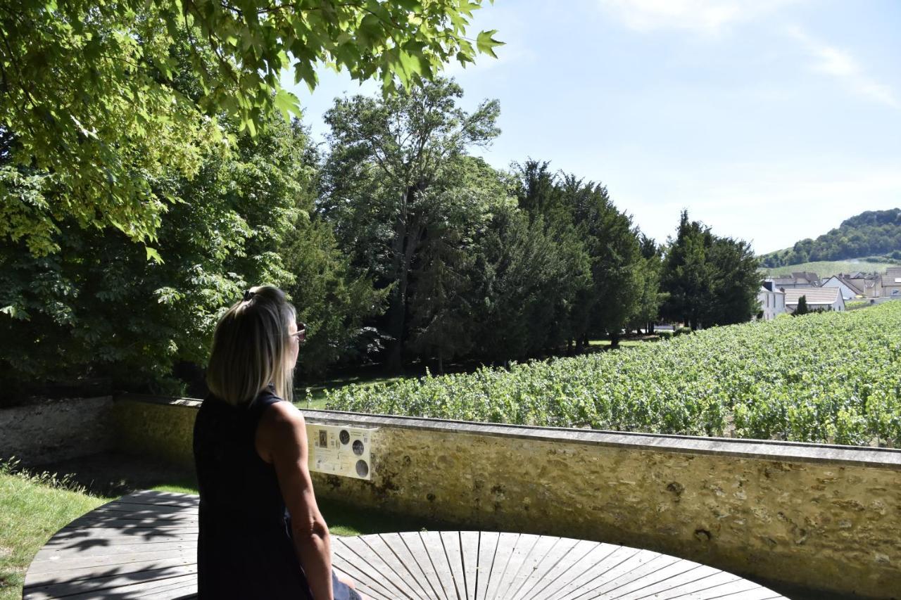 Appartement Les Bulles Blanches Avize